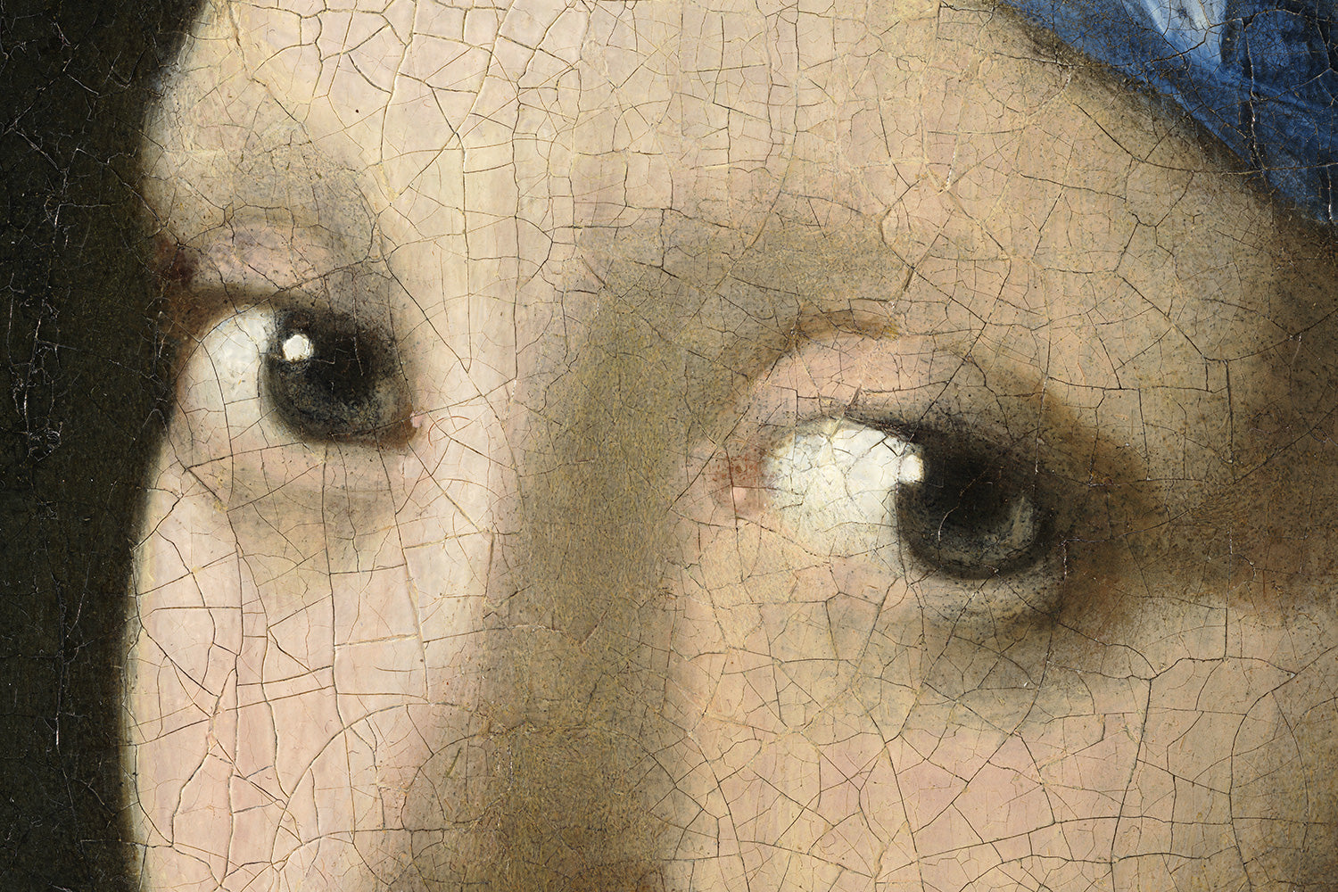 Eyes close-up of the painting Girl with a Pearl Earring" by Vermeer.