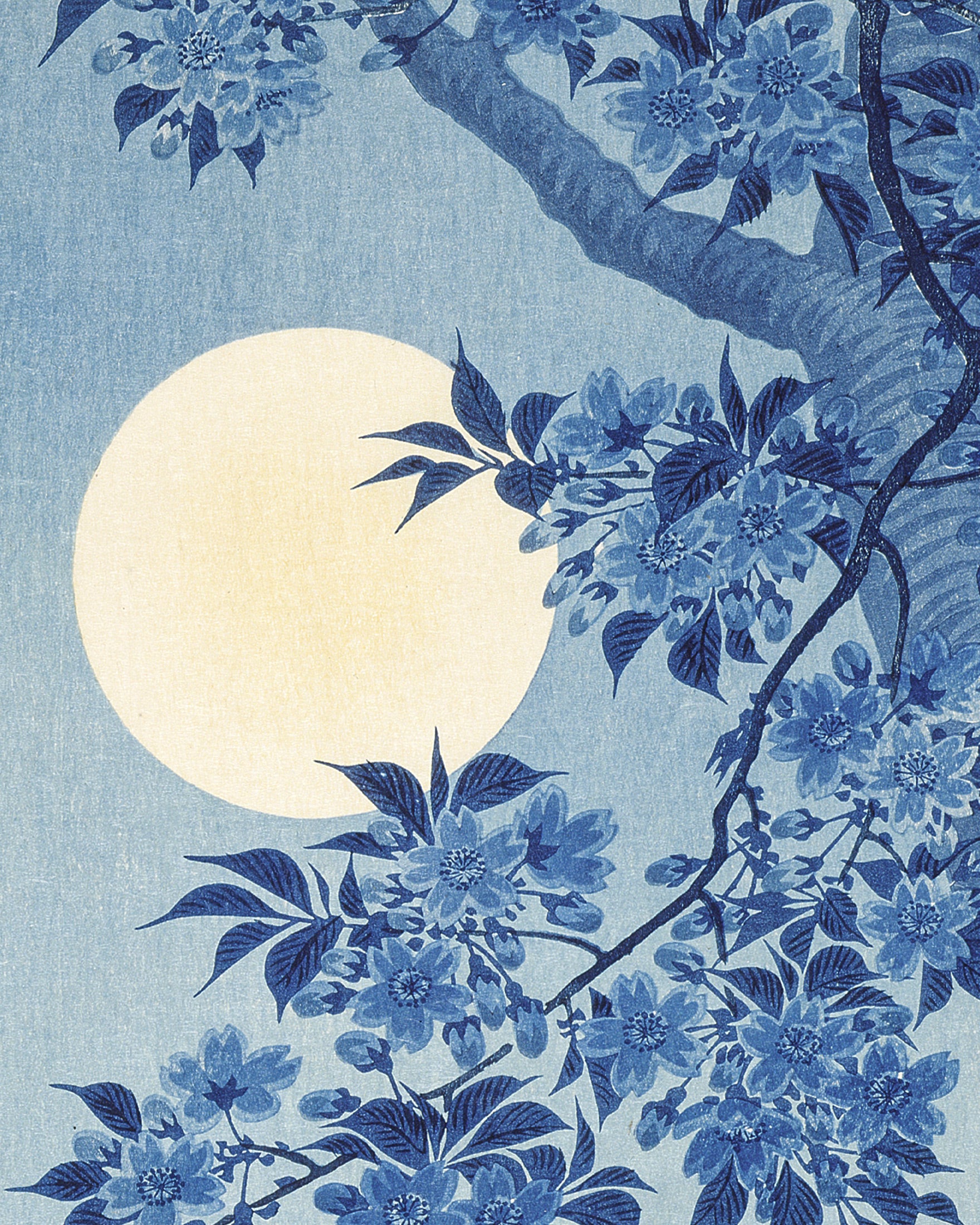 Blühende Kirschblüte in mondheller Nacht, Ohara Koson - poster