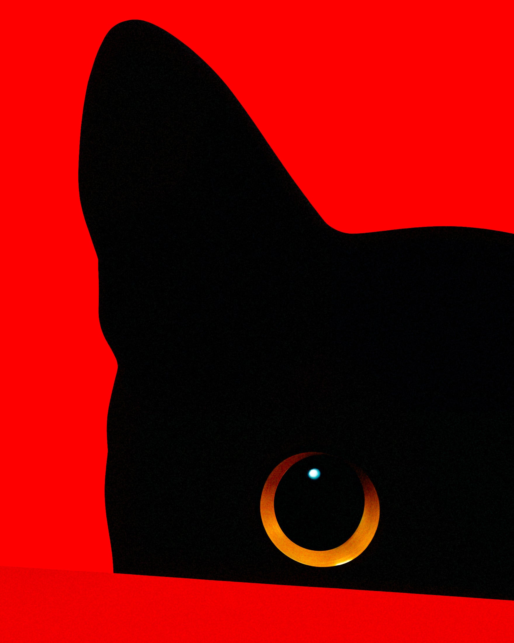 Katze hinter einer roten Wand - Poster