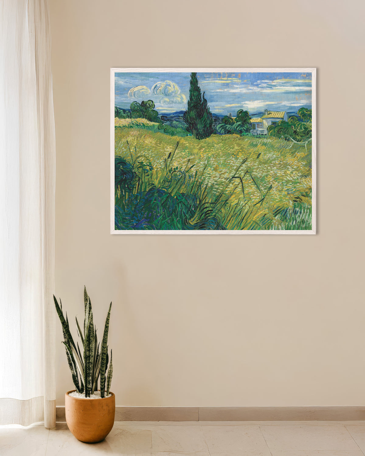 Poster mit dem Titel Grünes Weizenfeld mit Zypressen (1889) von Vincent van Gogh, mit weißem Holzrahmen
