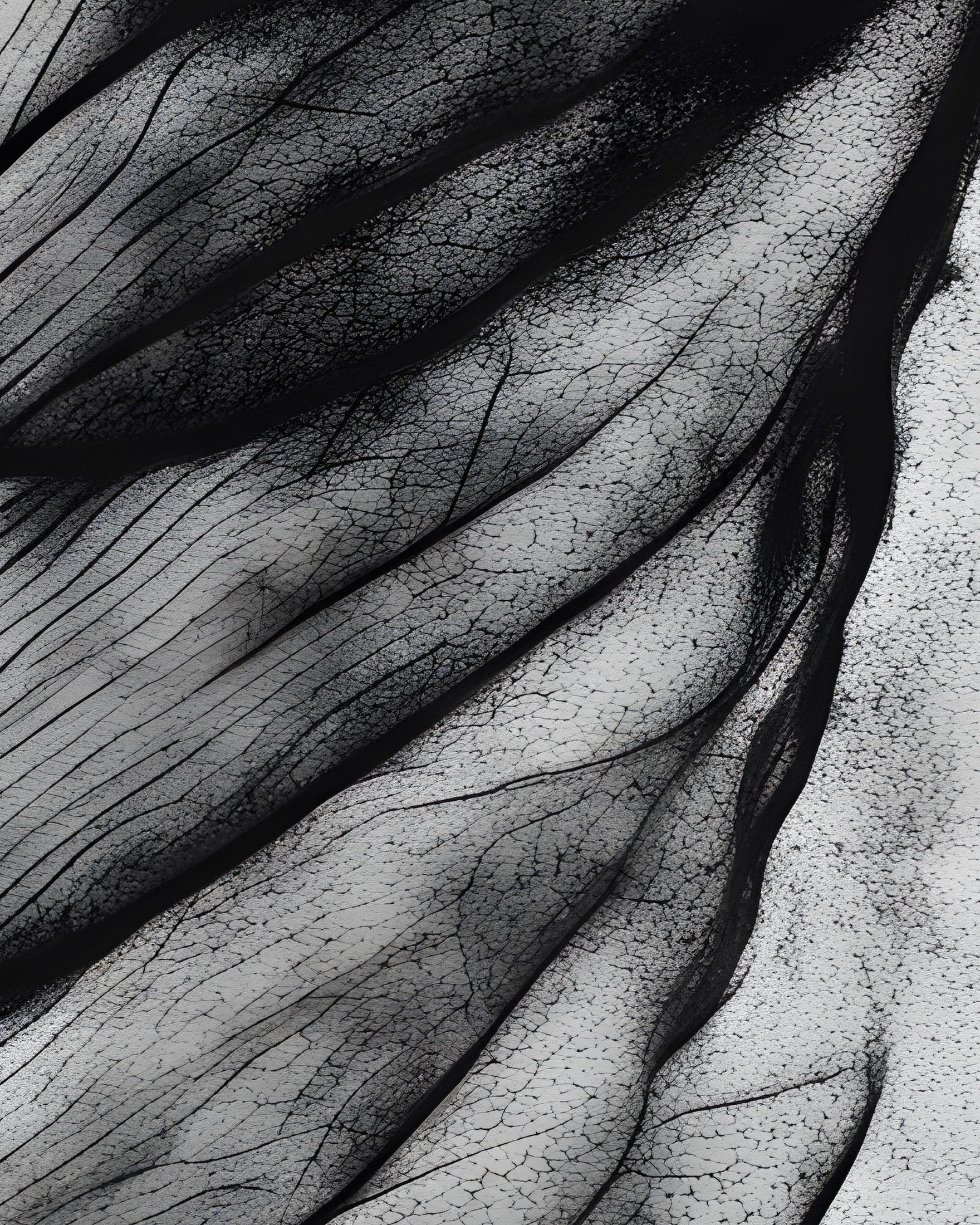 Ein Blatt in Schwarzweiß - poster