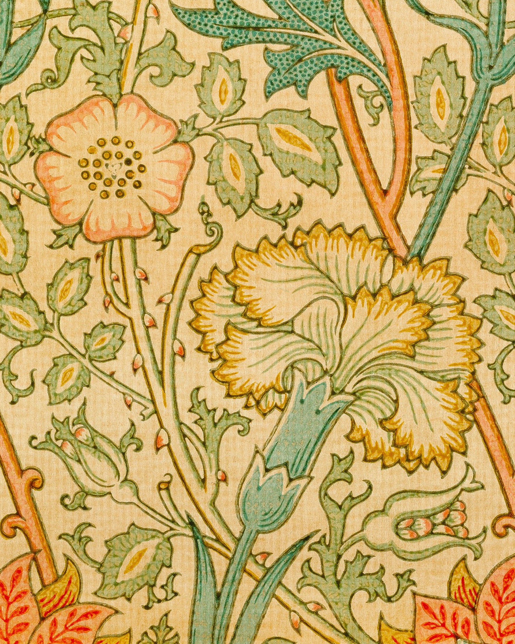 William Morris Tapete - Poster