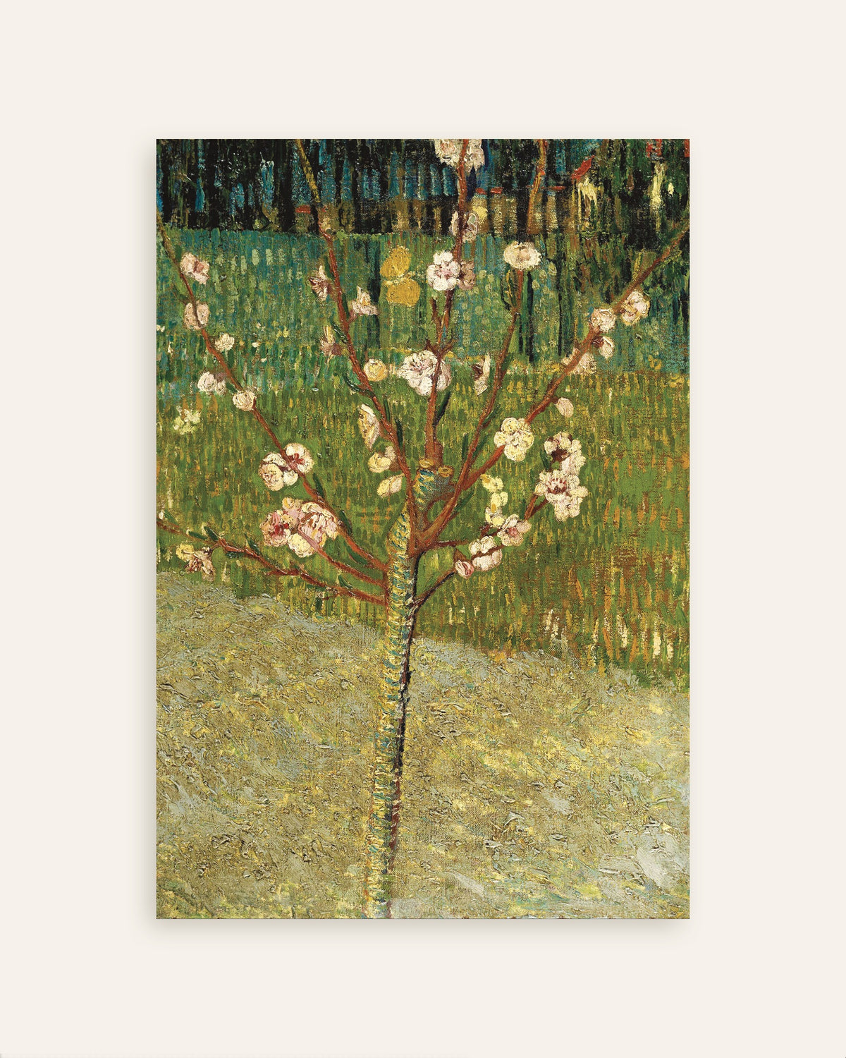 Poster „Mandelbaum in Blüte (1888) von Vincent van Gogh“, Miniaturansicht