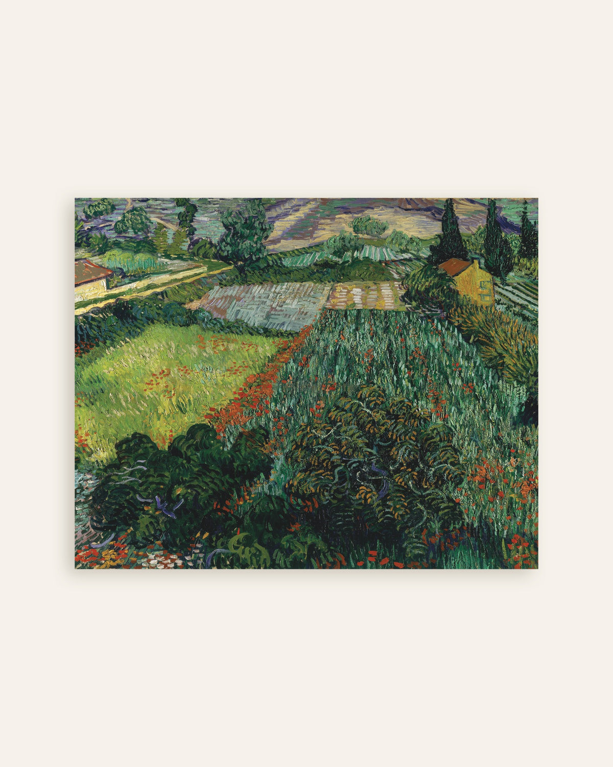 Poster mit „Mohnfeld (1889) von Vincent van Gogh“, Miniaturansicht