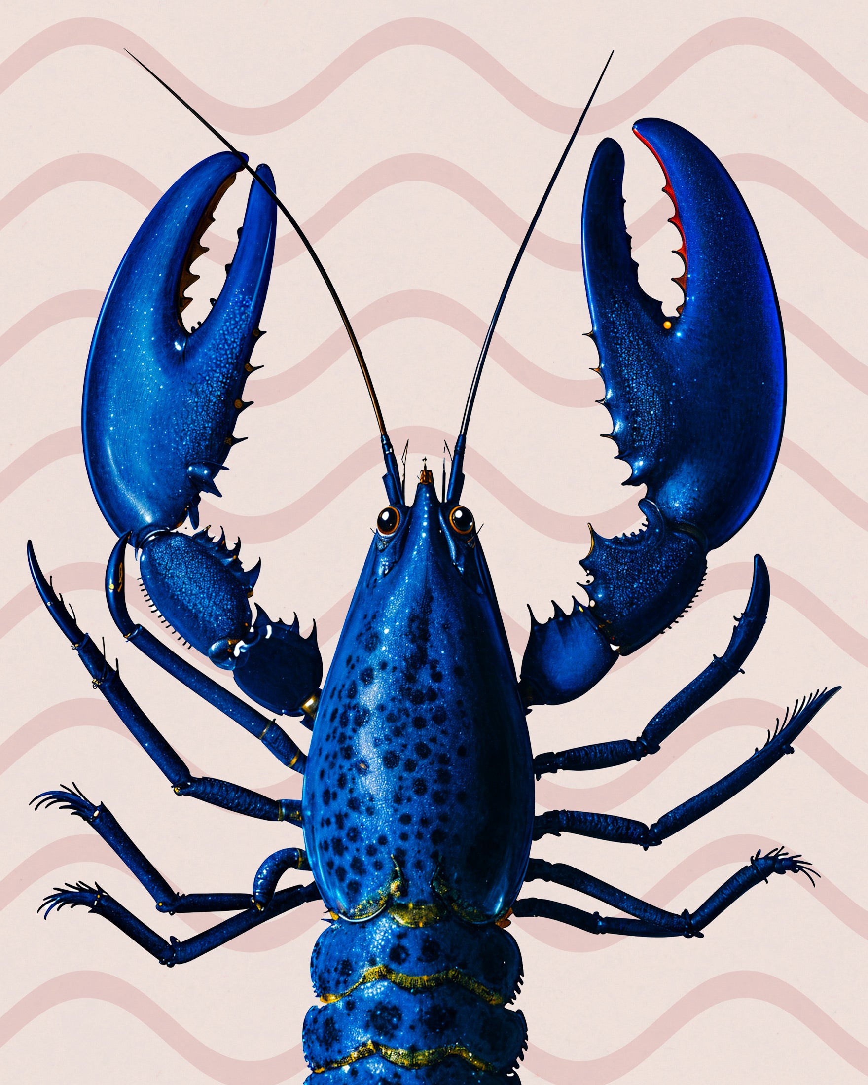 Blauer Hummer-Poster