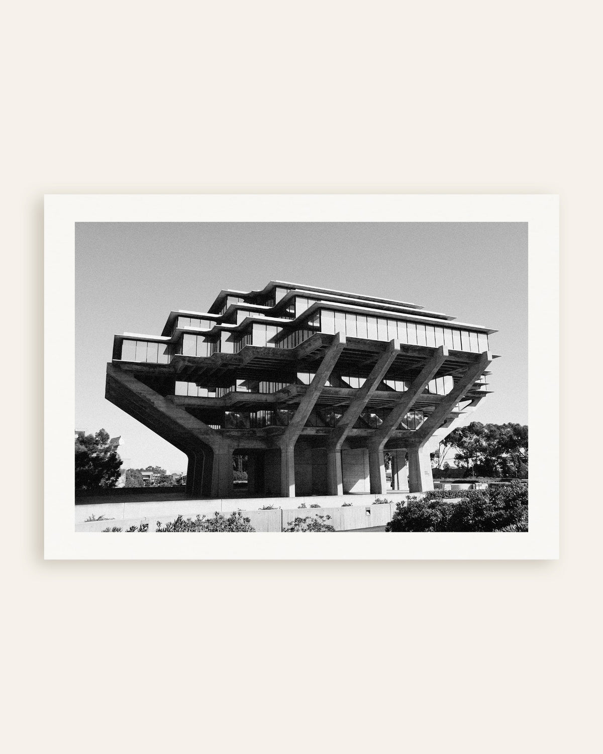 Poster „Bibliothek auf Betonstützen“, Miniaturansicht