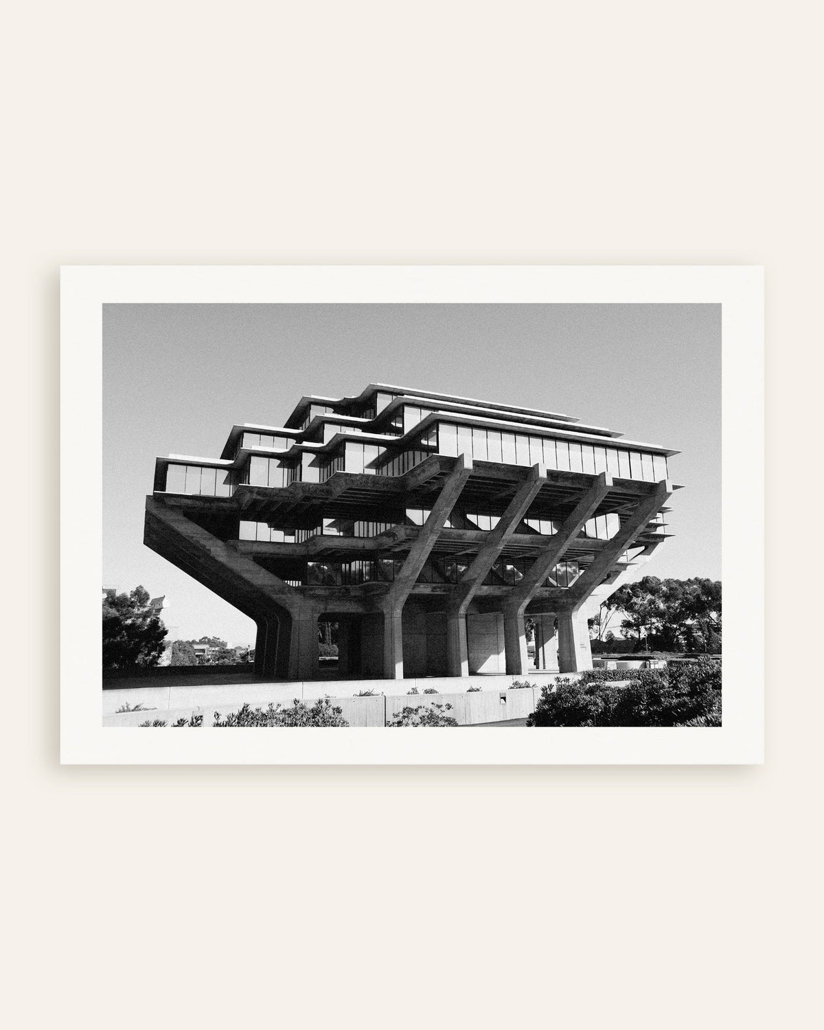 Poster „Bibliothek auf Betonstützen“, Miniaturansicht