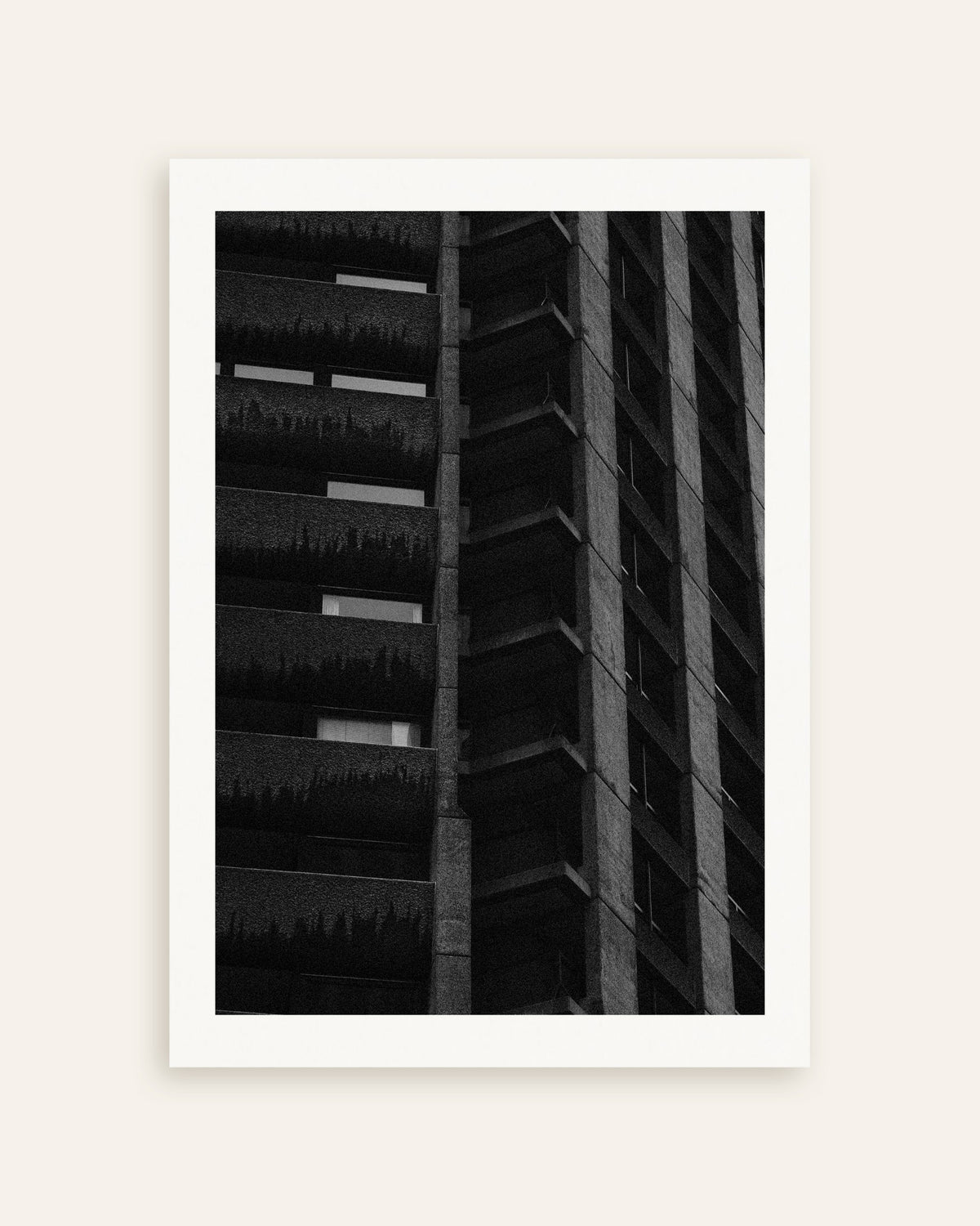Poster „Nächtliche Fassade mit hängenden Pflanzen“, Miniaturansicht