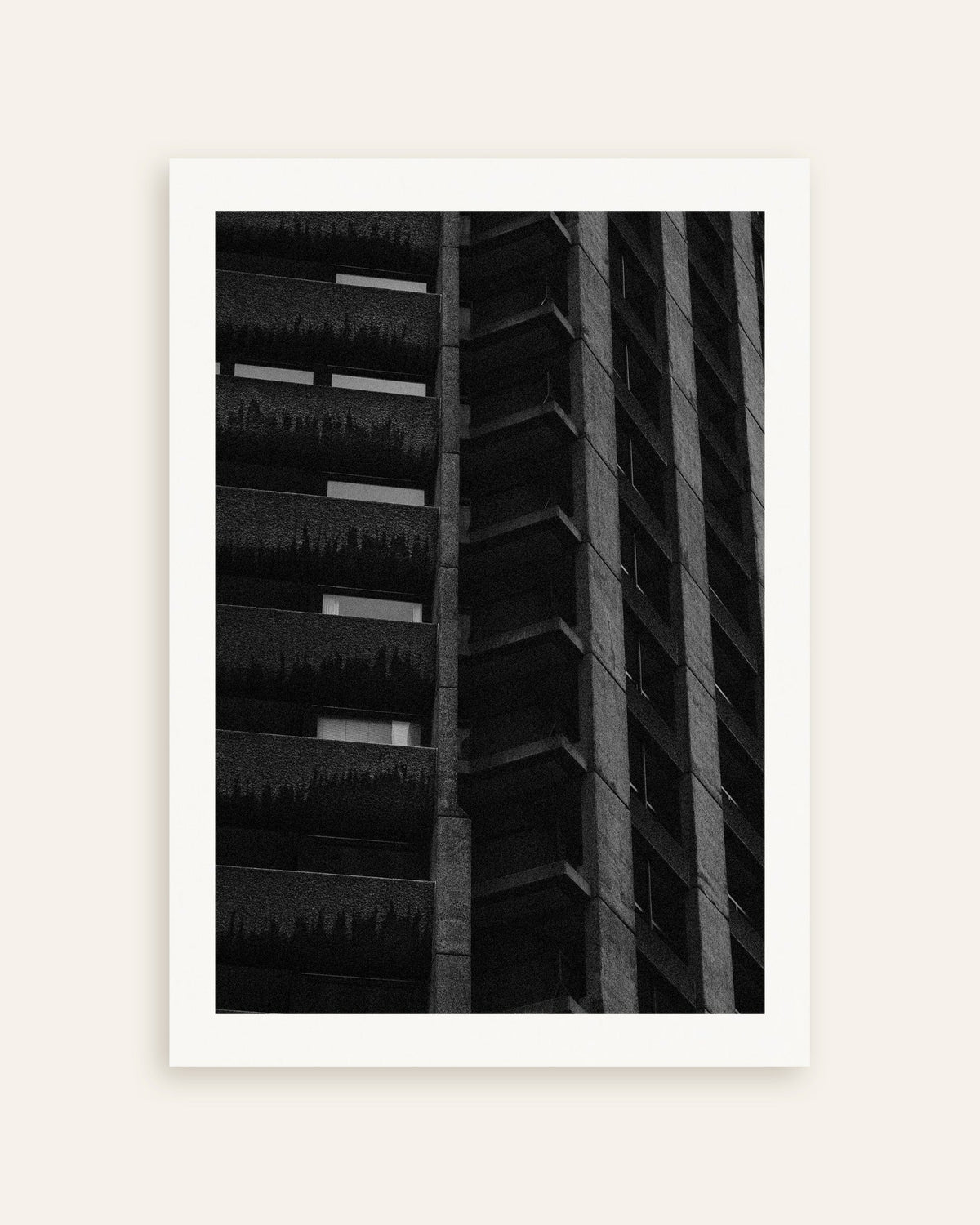 Poster „Nächtliche Fassade mit hängenden Pflanzen“, Miniaturansicht
