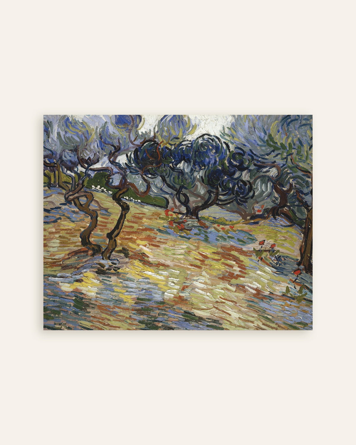 Poster Olivenbäume (1889) von Vincent van Gogh, Miniaturansicht