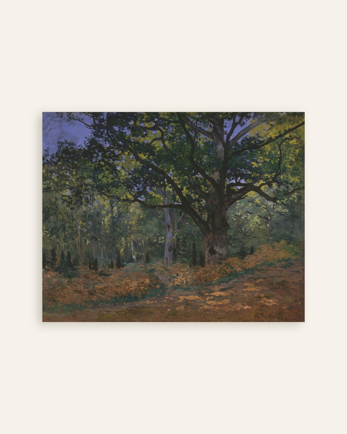 Poster Die Bodmer-Eiche, Wald von Fontainebleau (1865) von Claude Monet, Vorschaubild