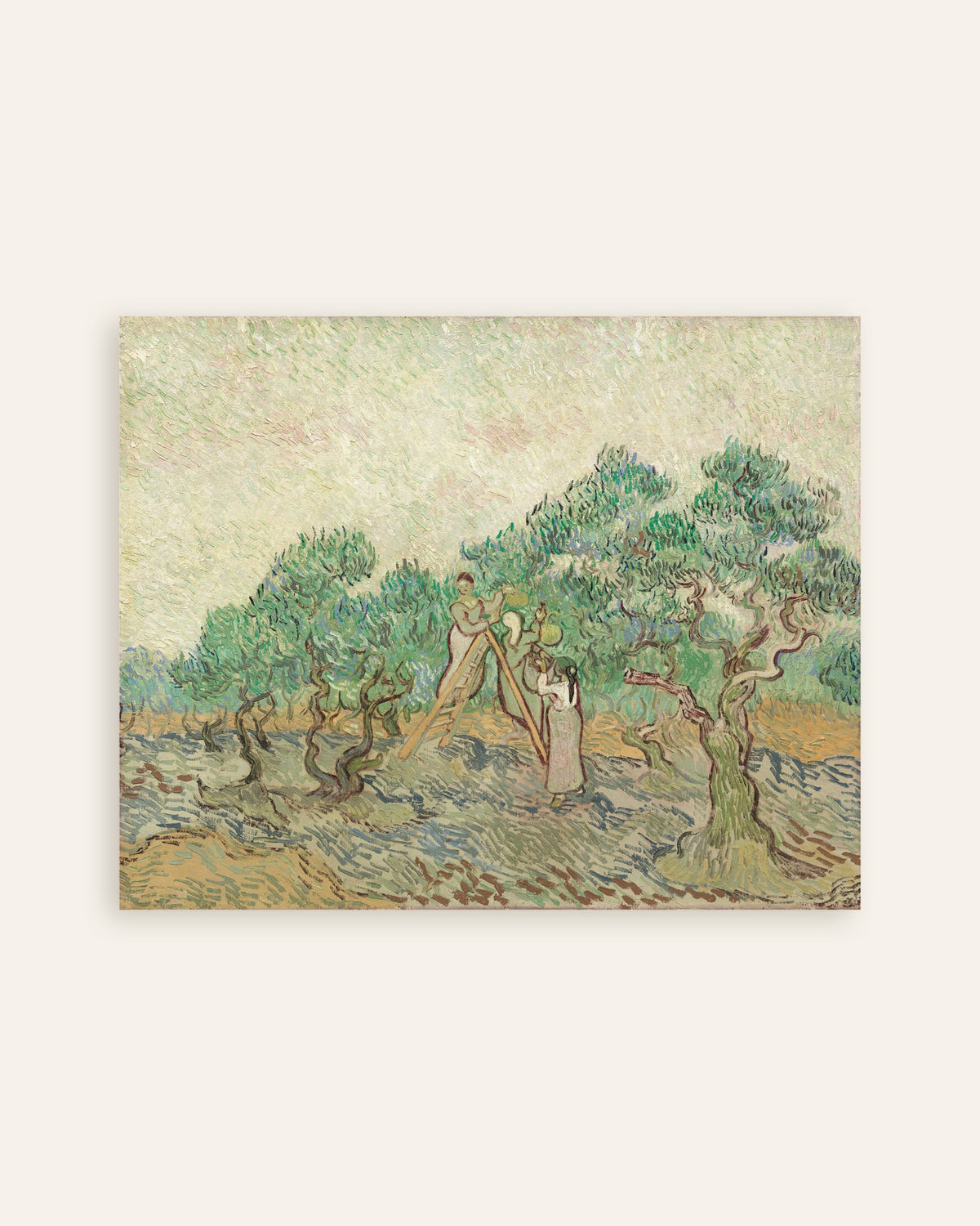 Poster des Kunstwerks „Der Olivenhain (1889) von Vincent van Gogh“, Miniaturansicht