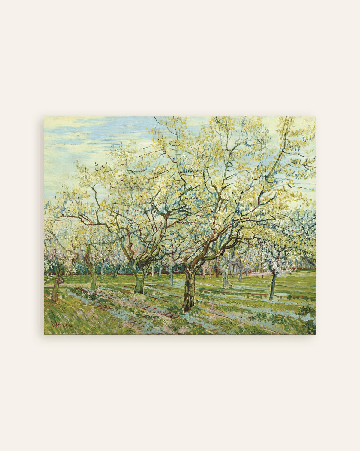 Poster: Der weiße Obstgarten (1888) von Vincent van Gogh, Miniaturansicht