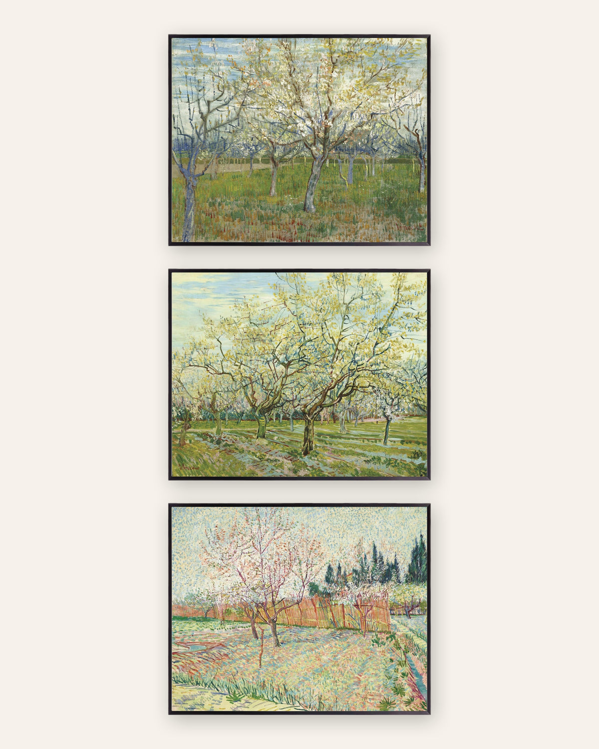 Van Gogh Obstgarten Poster 3er-Set: rosa, weiß und mit Zypressen, in schwarzen Metallrahmen