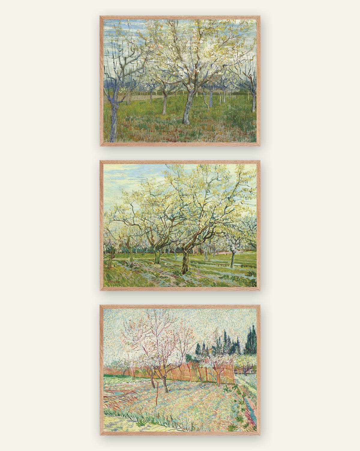 Van Gogh Obstgarten Poster 3er-Set: rosa, weiß und mit Zypressen, in Rahmen aus Natureiche