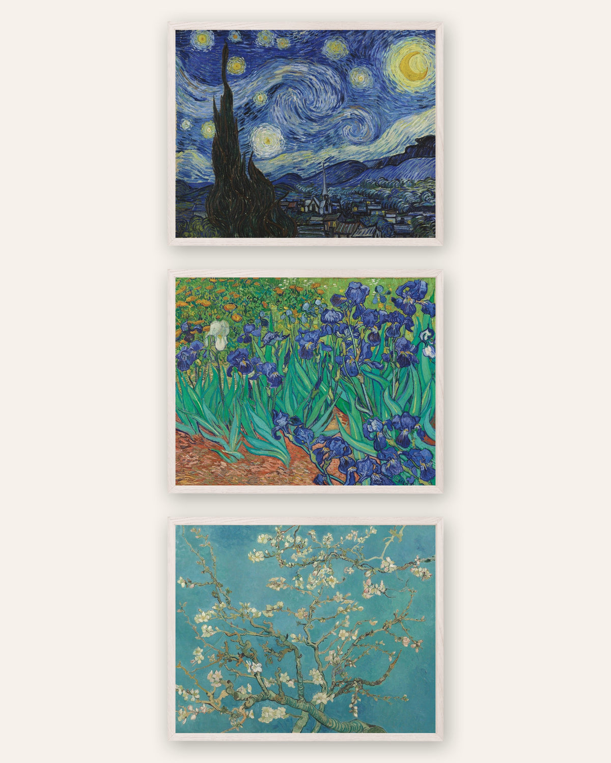 Van Gogh Poster 3er-Set: Die Sternennacht, Schwertlilien und Mandelblüte, in weißen Eichenrahmen