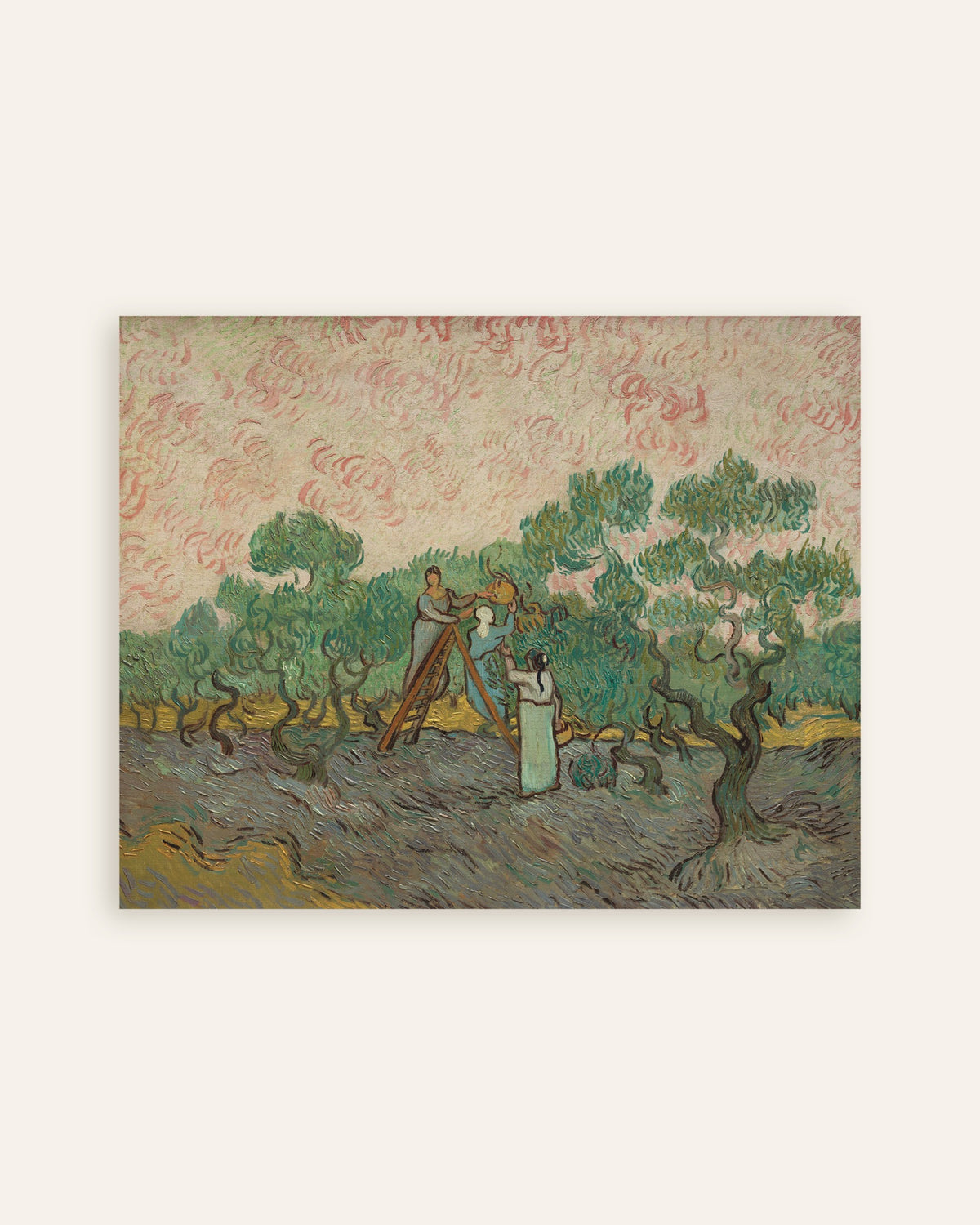 Poster „Frauen beim Olivenpflücken (1889) von Vincent van Gogh“, Miniaturansicht