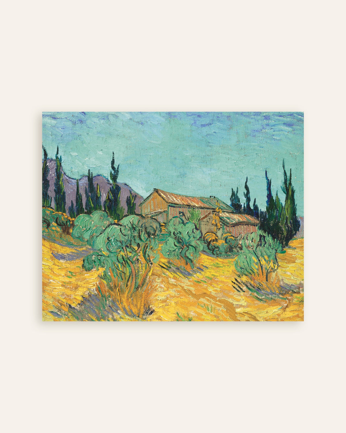 Poster mit Holzhütten zwischen Olivenbäumen und Zypressen (1889) von Vincent van Gogh, Miniaturansicht